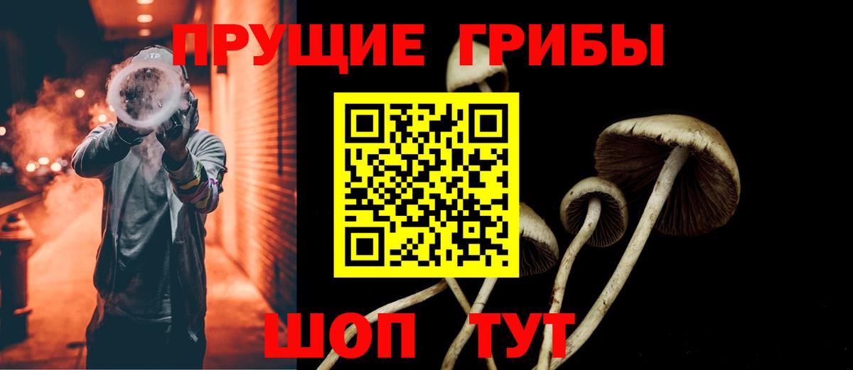 Псилоцибиновые грибы прущие грибы Урюпинск