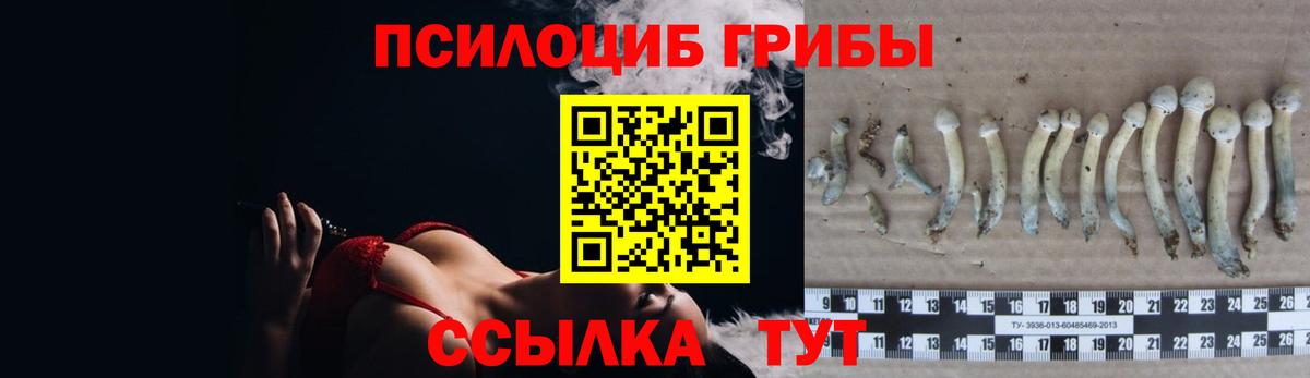 Урюпинск  Галлюциногенные грибы GOLDEN TEACHER  Галлюциногенные грибы MAGIC MUSHROOMS  Вход с VPN 